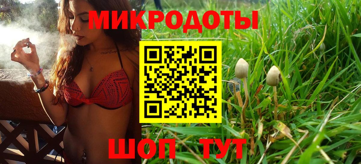 Галлюциногенные грибы Cubensis Усть-Джегута